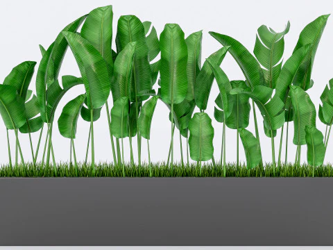 Verzameling van planten in pot 1 3D Model