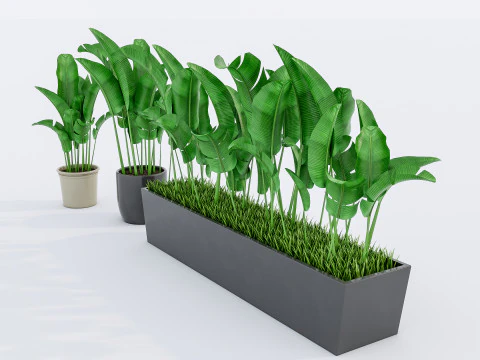 Verzameling van planten in pot 1 3D Model
