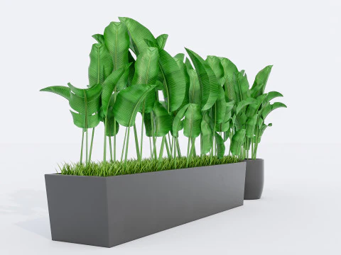 Verzameling van planten in pot 1 3D Model