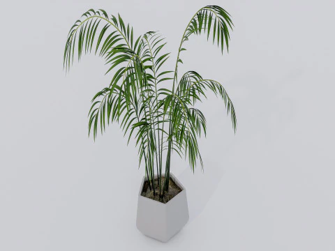 Kolekcja roślin doniczkowych 2 Model 3D