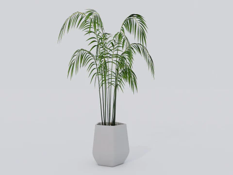 Kolekcja roślin doniczkowych 2 Model 3D