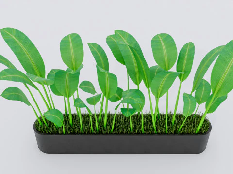 Kolekcja roślin doniczkowych 2 Model 3D