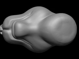 Dog 3D Print Model