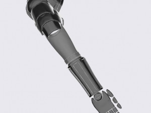 Fullmetal Alchemist Edward Elric Arm for cosplay 3D Print Model