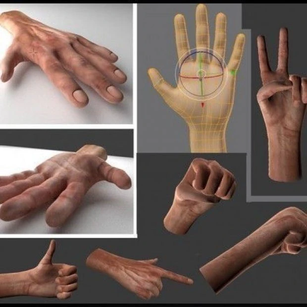 Rigged Hands 3D Model .c4d .max .obj .3ds .fbx .stl .blend 