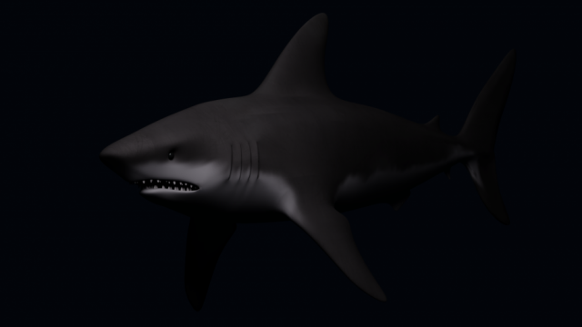 Shark 3D 모델 .c4d .max .obj .3ds .fbx .stl .blend 