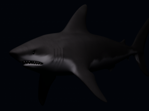 Shark 3D मॉडल