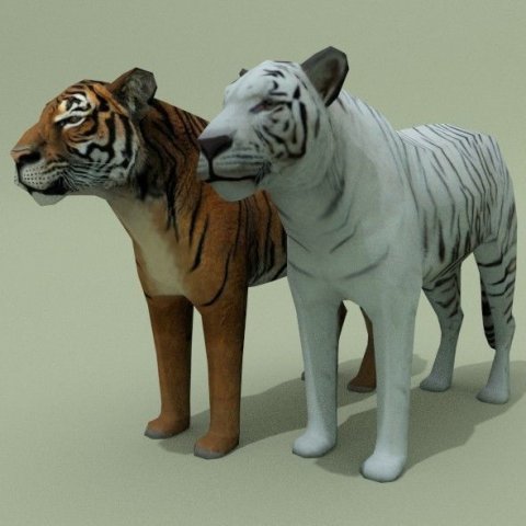 Two Tigers white and orange 3D Model .c4d .max .obj .3ds .fbx .stl .blend 
