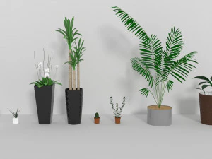 Indoor plants 3D Model