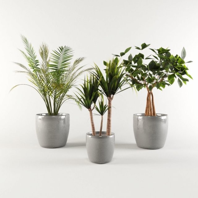 Vase Pack 1 3D 모델 .c4d .max .obj .3ds .fbx .stl .blend 