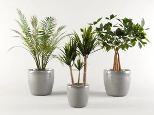 Vazo Paketi 1 3D Model