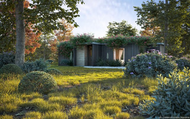 Maxtree Plant Modello 3D .c4d .max .obj .3ds .fbx .stl .blend 