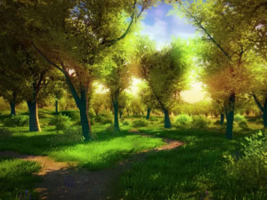 Forest 1 Model 3D