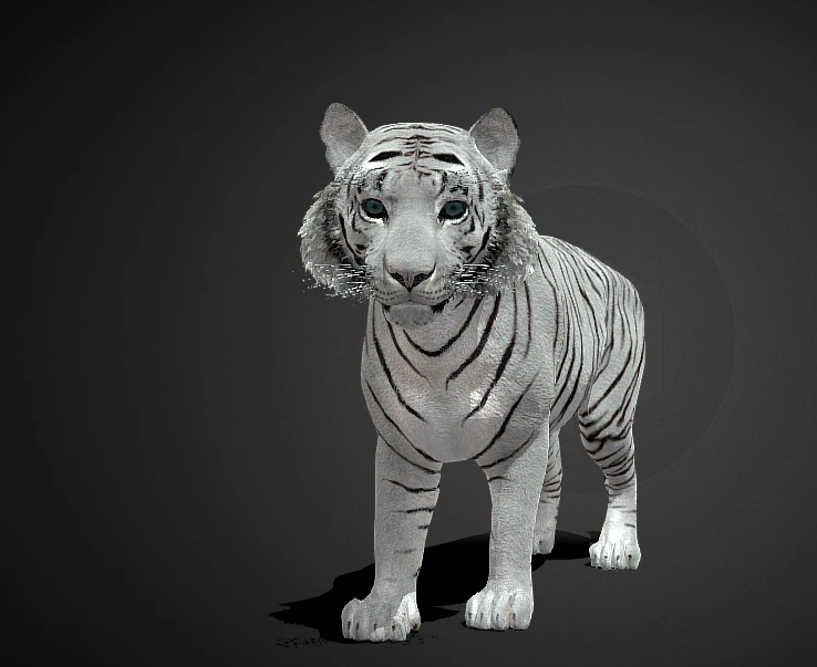 White tiger 3D Model .c4d .max .obj .3ds .fbx .stl .blend