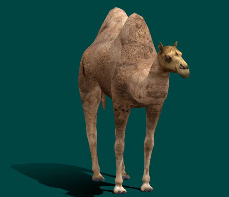 Trampeltier 3D Modell .c4d .max .obj .3ds .fbx .stl .blend 