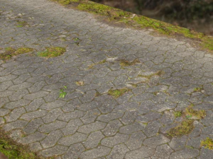 Lowpoly pavement walkway 3D Model