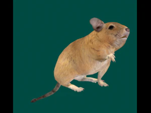 Sette animali Modello 3D