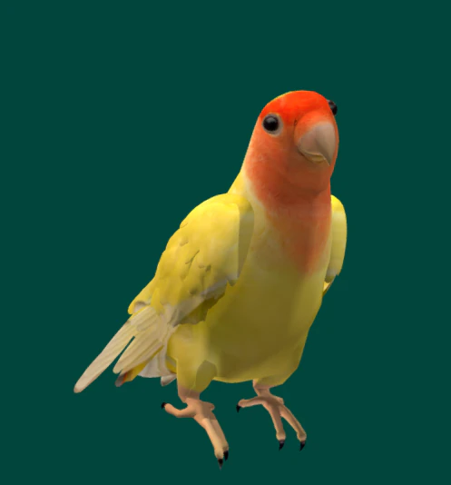 Birds Parrot 3D Model .c4d .max .obj .3ds .fbx .stl .blend 