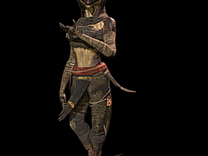 Draconic Sorceress Character Rig Modèle 3D