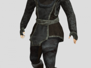 Elf animations 201 3D 모델