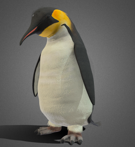 Penguin animations 67 3D Model .c4d .max .obj .3ds .fbx .stl .blend 