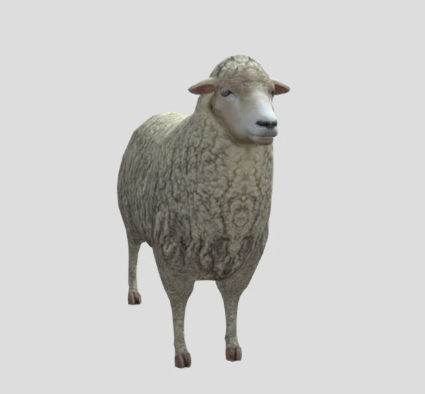 Inbred Sheep 3D Model .c4d .max .obj .3ds .fbx .stl .blend 