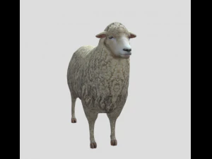 Wsobna owca Model 3D
