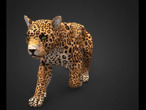 ヒョウ 3Dモデル