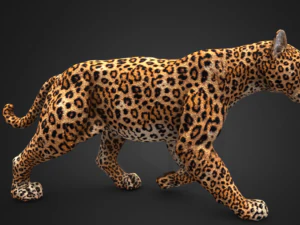 Leopard 3D Model