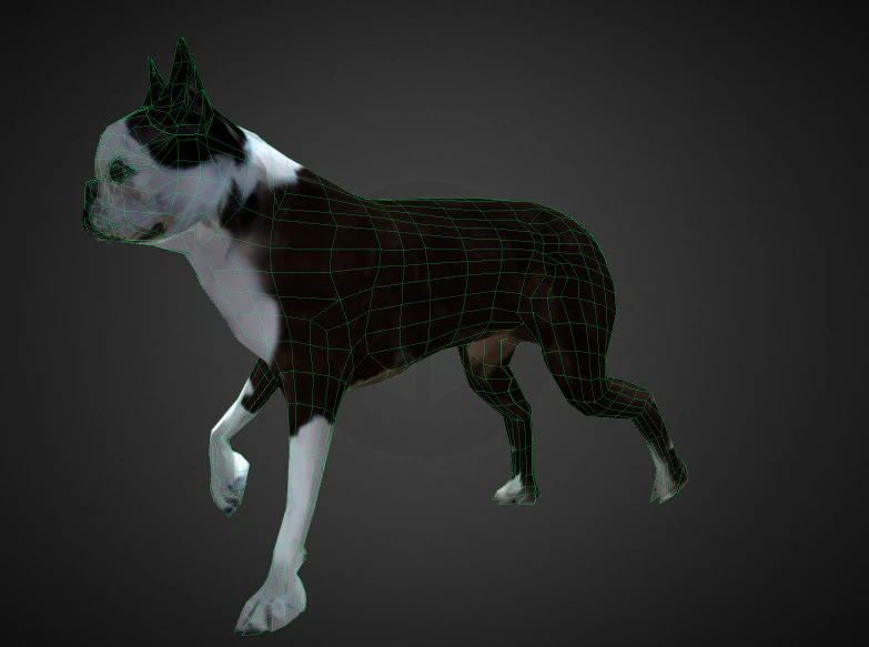 Dog 3D Model .c4d .max .obj .3ds .fbx .stl .blend 