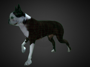 Dog 3D Model