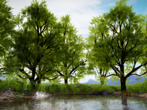 Tree Scene Modelo 3D