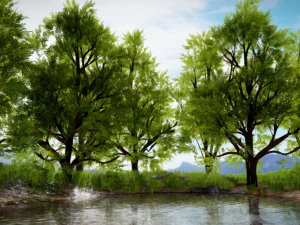 Сцена с деревом 3D Модель