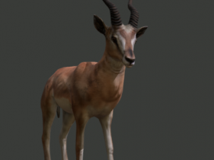 Gazella 3D मॉडल