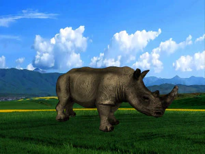 Rinoceronte Modello 3D