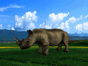Rhino 3D Model