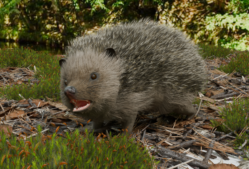 Realistic Hedgehog PBR 4k Low-poly Modelo 3D .c4d .max .obj .3ds .fbx .stl .blend
