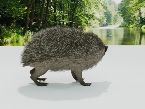 Realistic Hedgehog PBR 4k Low-poly Modelo 3D