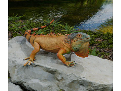 Realistic lizard PBR 8k Low-poly 3D Model