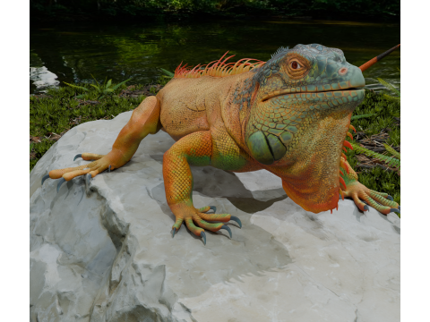 Realistic lizard PBR 8k Low-poly 3D Model
