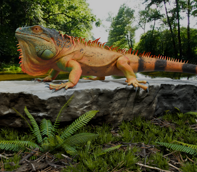 Realistic lizard PBR 8k Low-poly 3D Model .c4d .max .obj .3ds .fbx .stl .blend