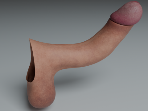 Realistic Penis Lowpoly Rigged PBR 4k 3D Модель