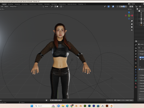 Female knight PBR 8k rigged Low-poly 3D Model