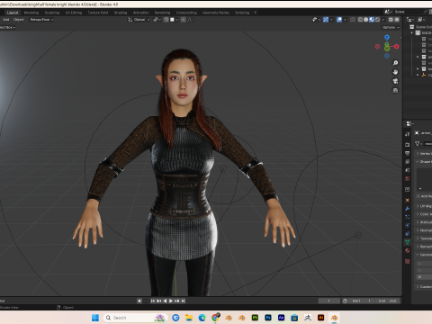 Female knight PBR 8k rigged Low-poly 3D Model