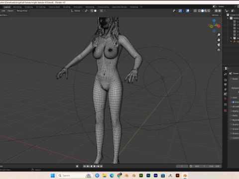 Female knight PBR 8k rigged Low-poly 3D Model