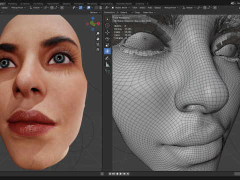 Sydney Sweeney Head PBR 8k highdetails 3D Модель
