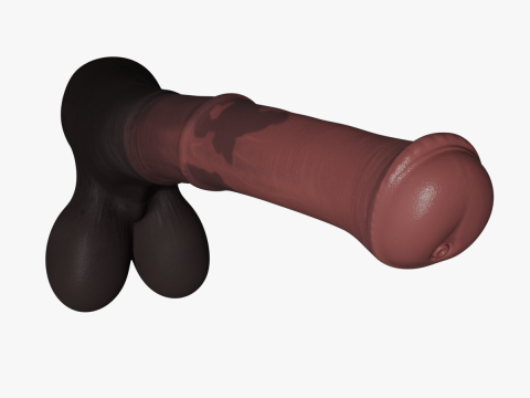 Pene de Caballo PBR 8K Highdetails Rigged 5 Opciones Modelo 3D