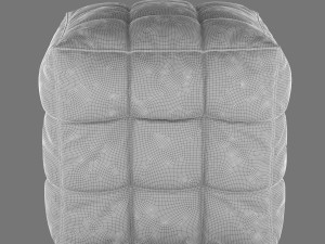 BON VIVANT POUF C3 01 Model 3D