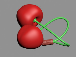3D printable cherries heart 3D 프린트 모델