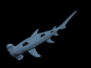 3D printableshark hammerhead fish Modello di stampa 3D